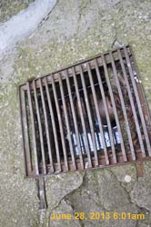 DSC_0490