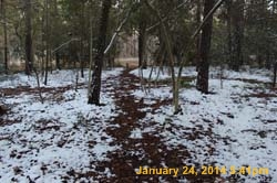 IMG_8544