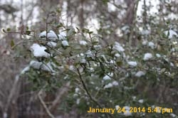 IMG_8551