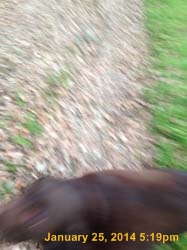 IMG_3076