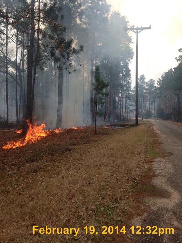 IMG_3372