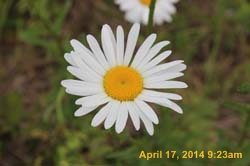 IMG_8935