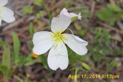IMG_8947