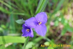 IMG_8949