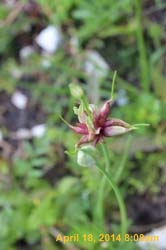 IMG_8950