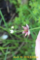 IMG_8951