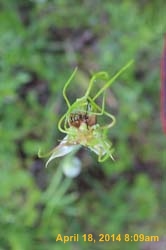 IMG_8953