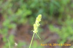 IMG_8961