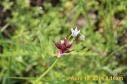IMG_8965