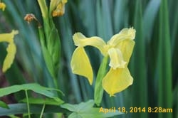 IMG_8974