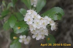 IMG_8986