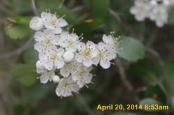 IMG_8987