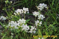 IMG_9081