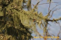 IMG_9083