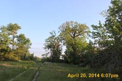 IMG_9086