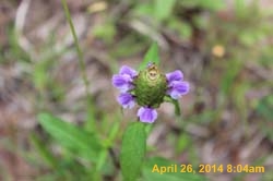 IMG_9093