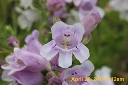 IMG_9104