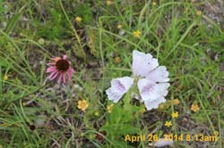 IMG_9106