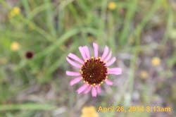 IMG_9107