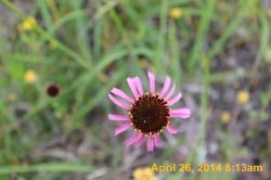 IMG_9108