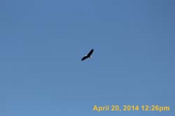 IMG_2695