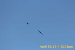 IMG_2697