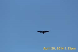 IMG_2699