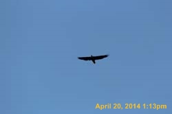 IMG_2700