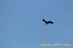 IMG_2701