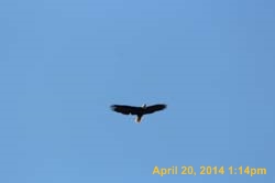 IMG_2707