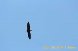 IMG_2708