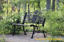 IMG_2721