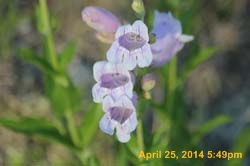 IMG_2800