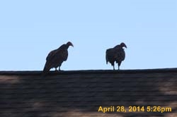 IMG_2814