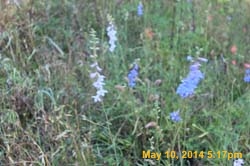 IMG_9227