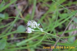 IMG_9506
