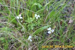 IMG_9514