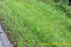 IMG_9519