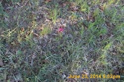IMG_9563