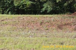 IMG_9581
