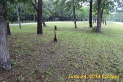 IMG_9592