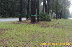 IMG_9655