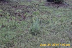 IMG_9694