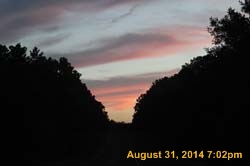 IMG_9897