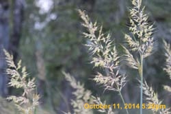 IMG_0042