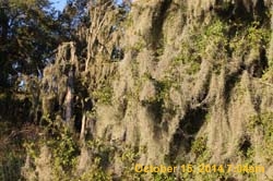 IMG_0057