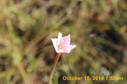 IMG_0070
