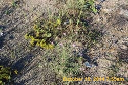 IMG_0077