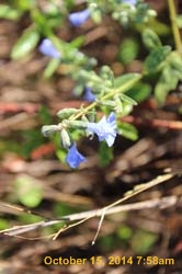 IMG_0083