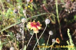 IMG_0096
